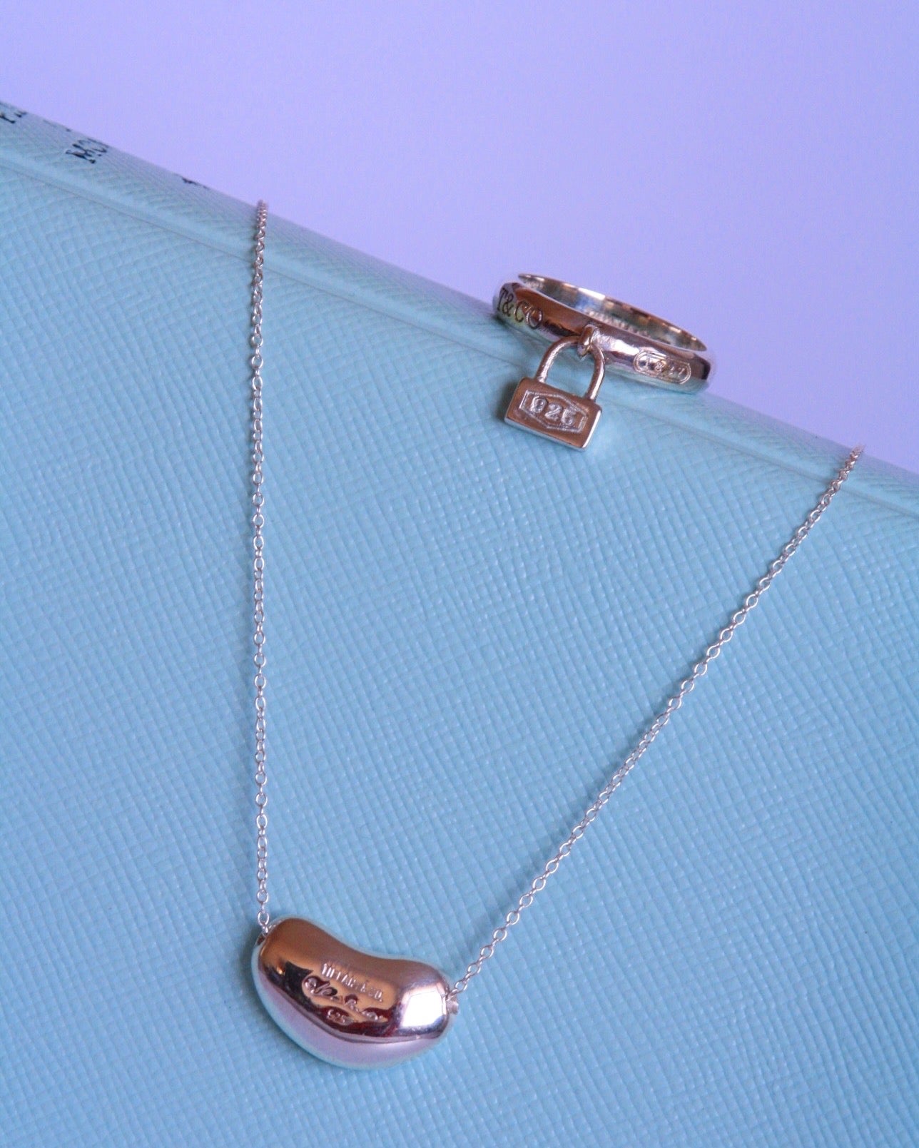 Tiffany X Elsa Peretti Bean Necklace